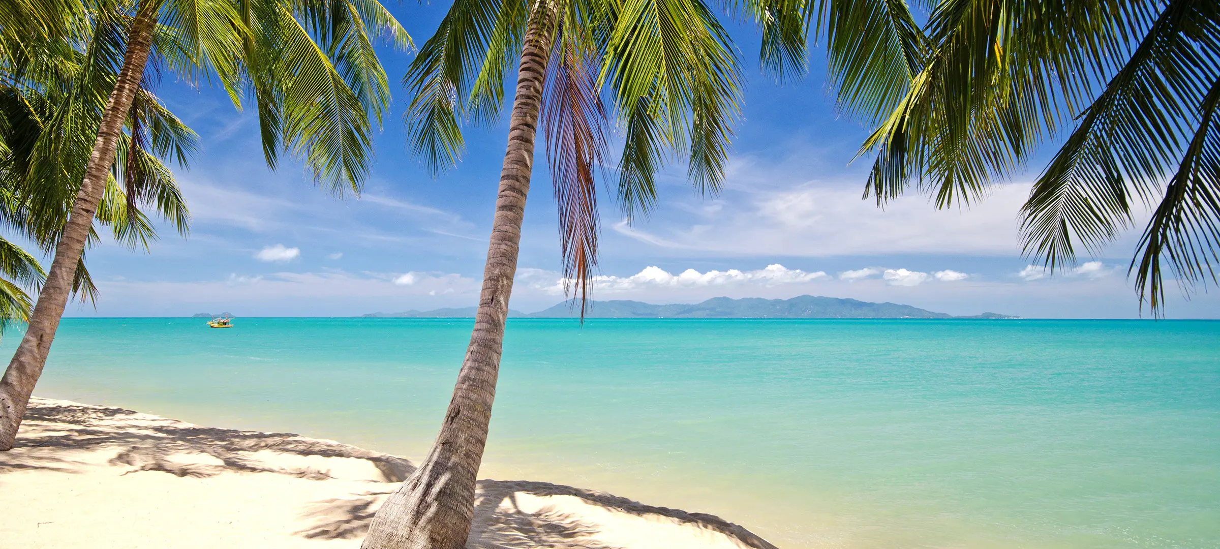 Project managing the creation of an upscale resort